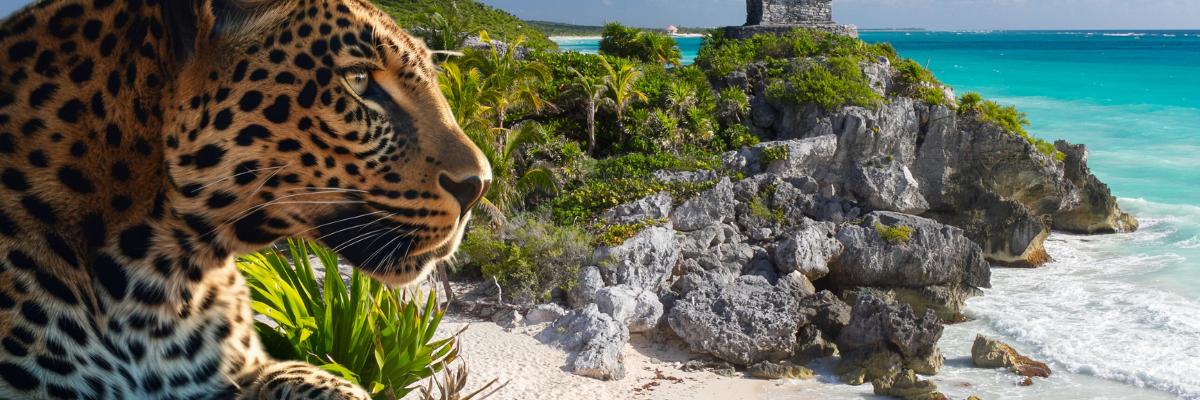 Ana y José Hotel & Beach Club Tulum Ana y José Hotel & Beach Club Tulum