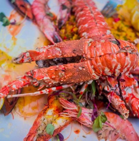 Ana y José Hotel & Beach Club Tulum   Ana y José Hotel & Beach Club Tulum