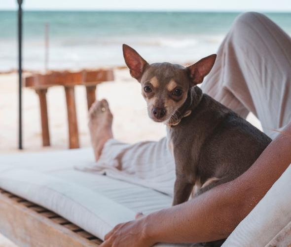 Ana y José Hotel & Beach Club Tulum Ana y José Hotel & Beach Club Tulum